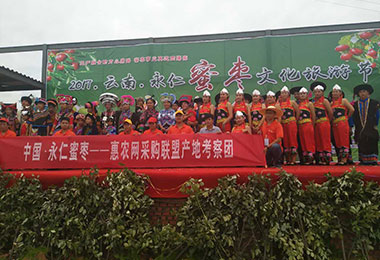 2017永仁金絲小棗網上采購節