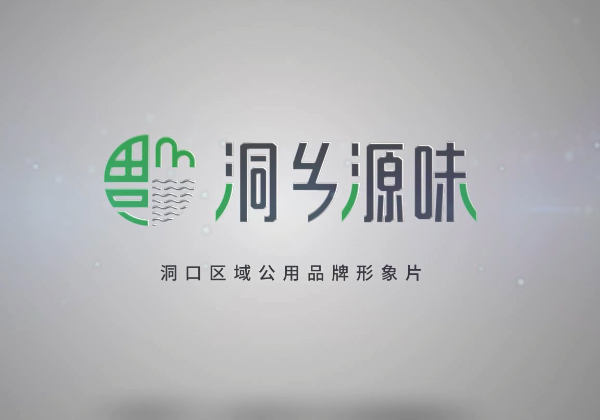 洞口區域品牌“洞鄉源味”宣傳片