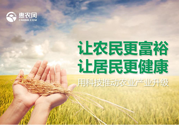 36氪專訪 | 一手流通一手產地，“惠農網”要做農產品“大中間商”