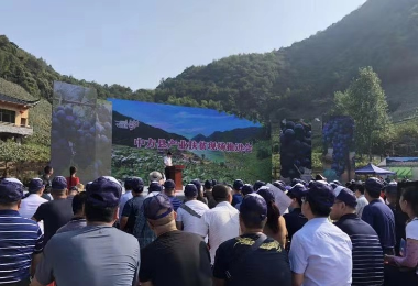 2019中國農(nóng)民豐收節(jié)-刺葡萄生態(tài)文化旅游節(jié)產(chǎn)銷對接會