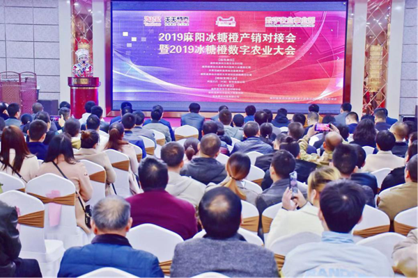 麻陽冰糖橙產(chǎn)銷對接會舉辦，惠農(nóng)網(wǎng)助推“山果”變“俏果”
