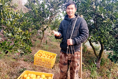 惠農網走進新寧縣， 尋訪貧困村里的“追夢人”