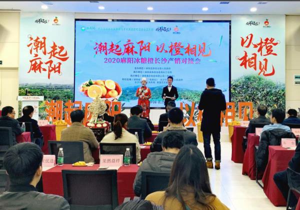 電商抱團助銷?2020年麻陽冰糖橙長沙產銷對接會在惠農網總部舉行
