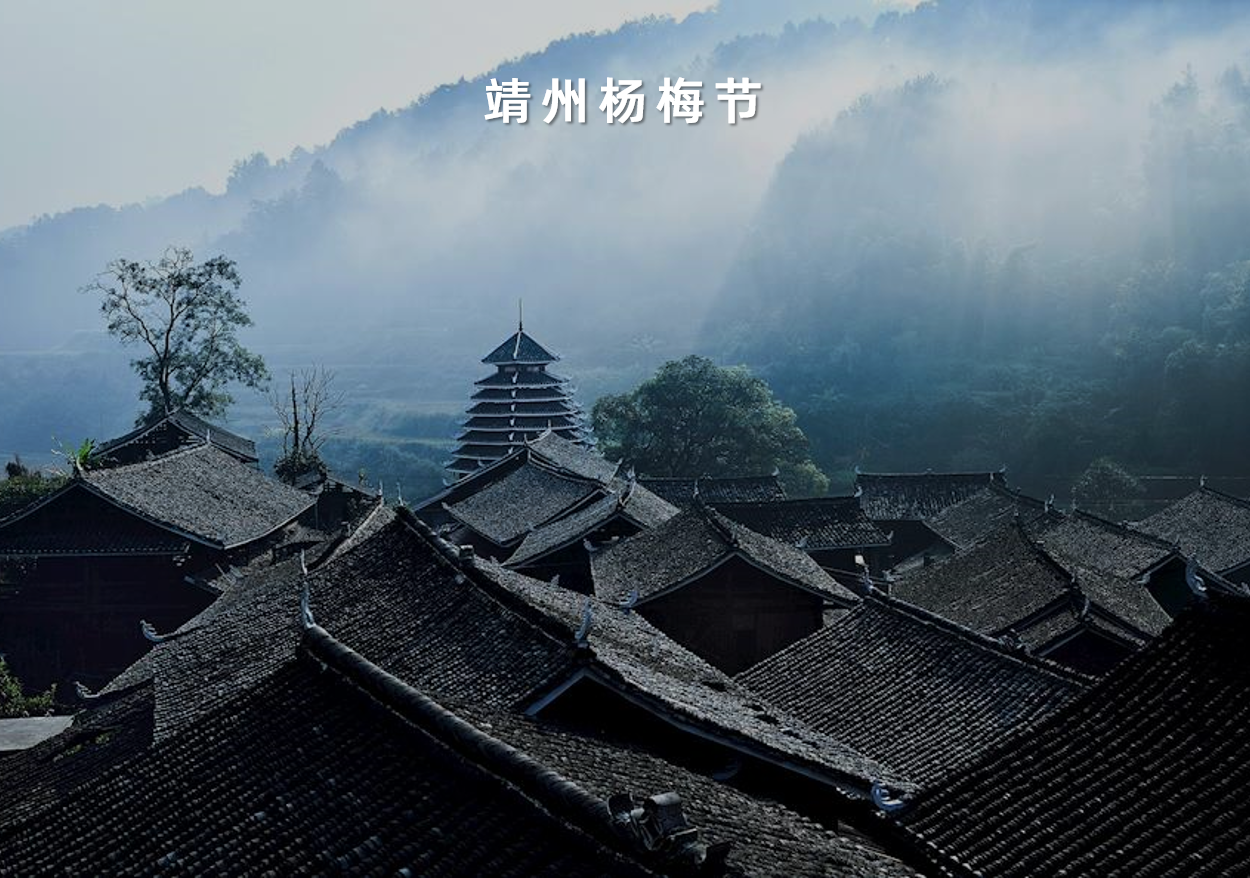 湖南省靖州苗族侗族自治縣靖州楊梅節