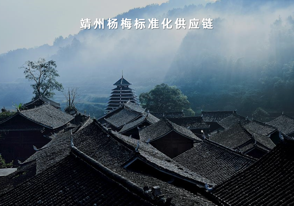 靖州楊梅標準化供應鏈