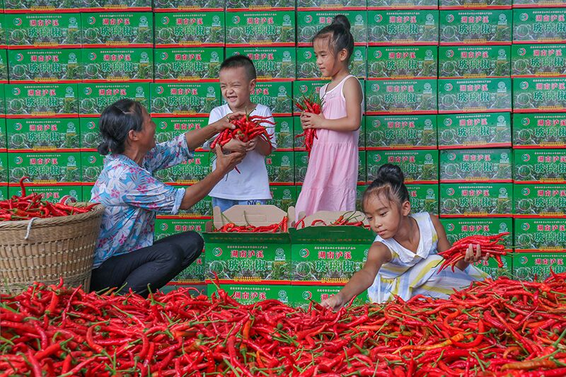 圖片1.png 圖片1.png