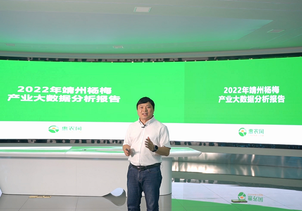 惠農大數據：靖州楊梅走“紅”消費市場 后市行情看漲