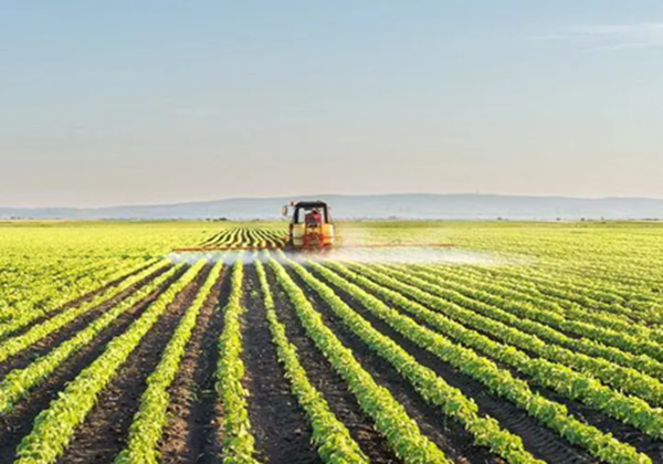 農業農村部辦公廳關于開展2022年農業品牌精品培育工作的通知