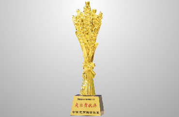 榮獲商務部中國電商扶貧聯盟“2019年突出貢獻獎”.jpg 榮獲商務部中國電商扶貧聯盟“2019年突出貢獻獎”.jpg