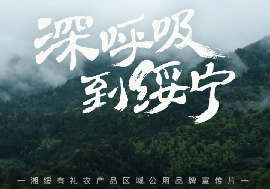 綏寧“湘綏有禮”區域公用品牌宣傳片