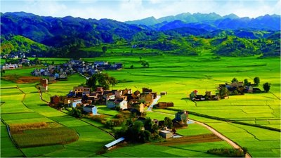 關于印發《“我的家鄉我建設”活動實施方案》的通知