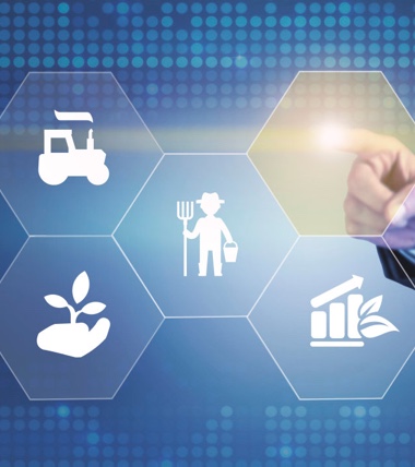 惠農網企業文化