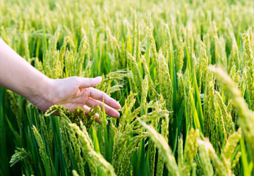 社會(huì)責(zé)任理念